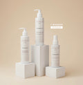 PACK - Harmonie